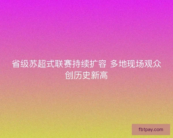 省级苏超式联赛持续扩容 多地现场观众创历史新高